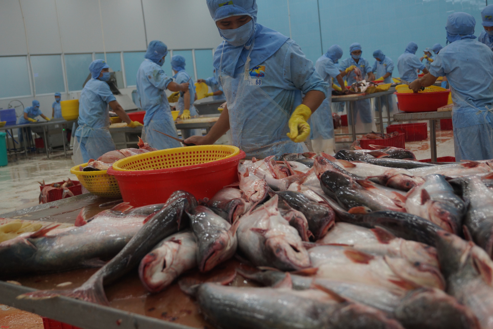 Xuất khẩu thủy sản 2019 tăng trưởng âm Ngành thuỷ sản Việt Nam một năm nhìn lại, có kỳ vọng nhưng có cả không như mong muốn.