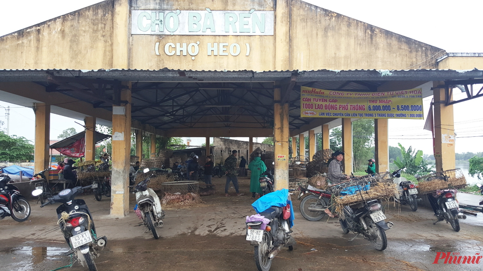 Thời sự giá heo trong chợ heo Bà Rén Chợ Bà Rén, ngày thường bán 3.000-4.000 con heo các loại, giờ như “chùa Bà Đanh” Chợ Bà Rén, ngày thường bán 3.000-4.000 con heo các loại, giờ như “chùa Bà Đanh”