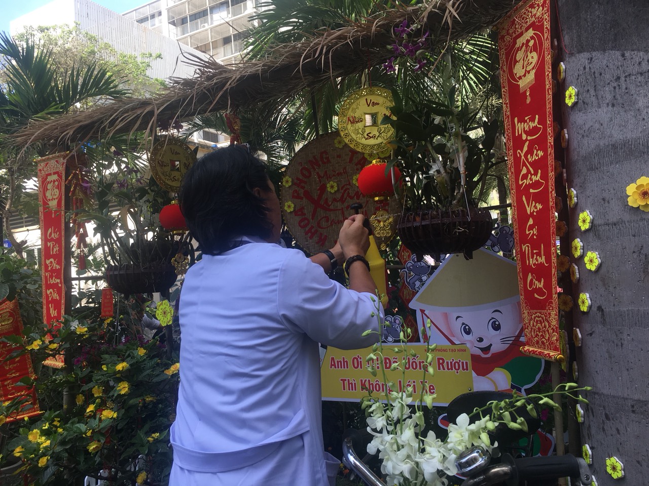 Lần đầu tiên, một đường hoa Xuân xuất hiện tại bệnh viện, bệnh nhân náo nức 'sống ảo' Những nhân viên y tế chăm chút từng bông hoa để phục vụ bệnh nhân