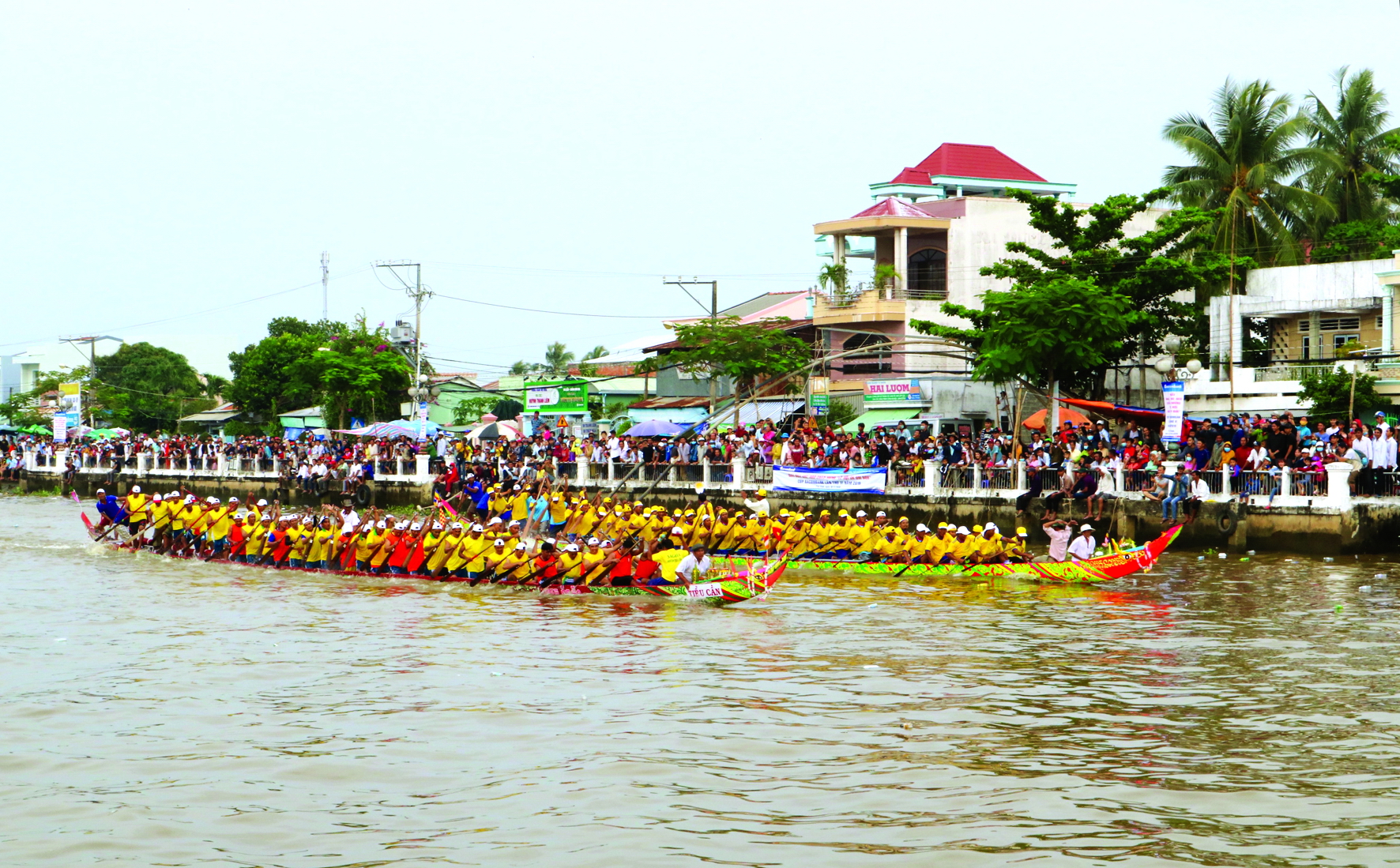 Có một 'thành phố' trong rừng ở Trà Vinh Đua ghe ngo trên sông Long Bình