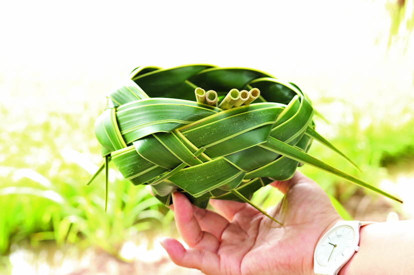 Có một 'thành phố' trong rừng ở Trà Vinh Thông điệp bảo vệ môi trường từ lá dừa