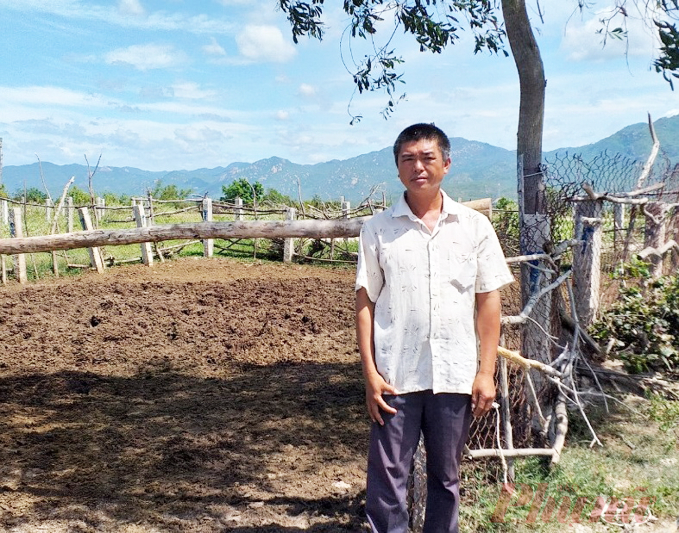 Một nông dân bị truy tố vì dựng chòi chăn cừu trên đất mua 'giấy tay' Anh Thơm trên phần đất mình đã mua lại của sáu hộ dân bằng “giấy tay”