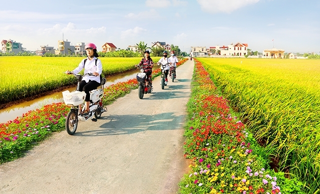 Tết ngay sau lưng rồi