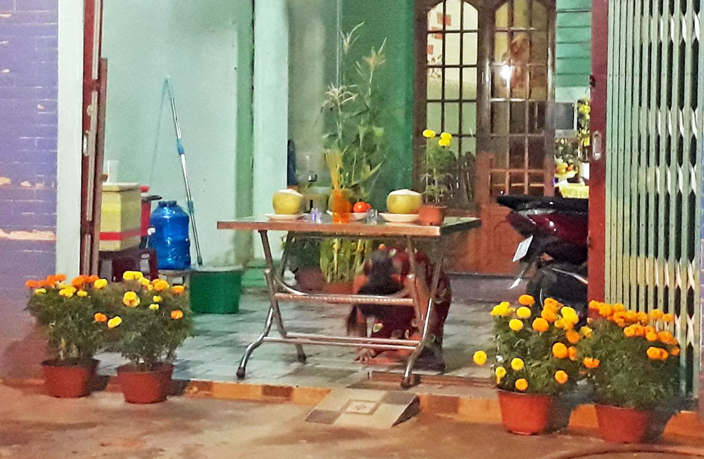 Chiếc vespa xông đất của người về từ bệnh viện Ảnh minh họa