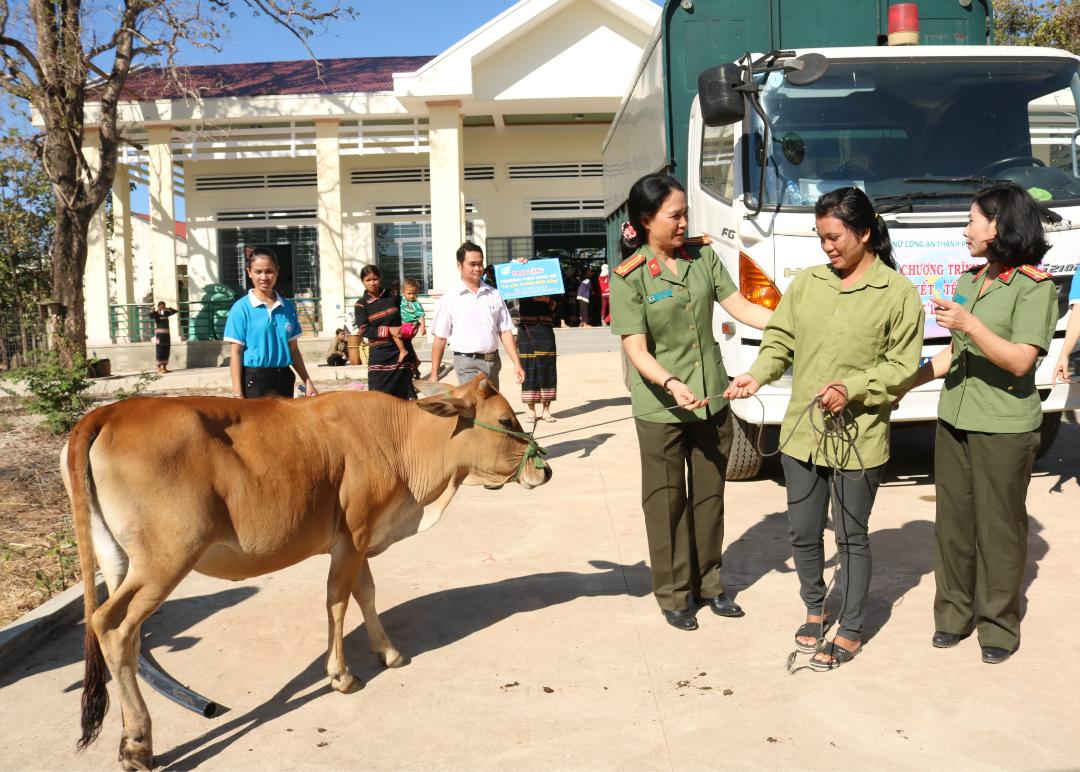 Bước chân qua những miền khó