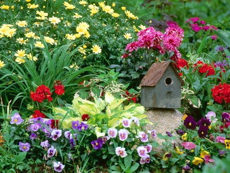 Cách thiết kế sân vườn rộn ràng tiếng chim hót Bạn có thể thu hút chim theo màu sắc của hoa