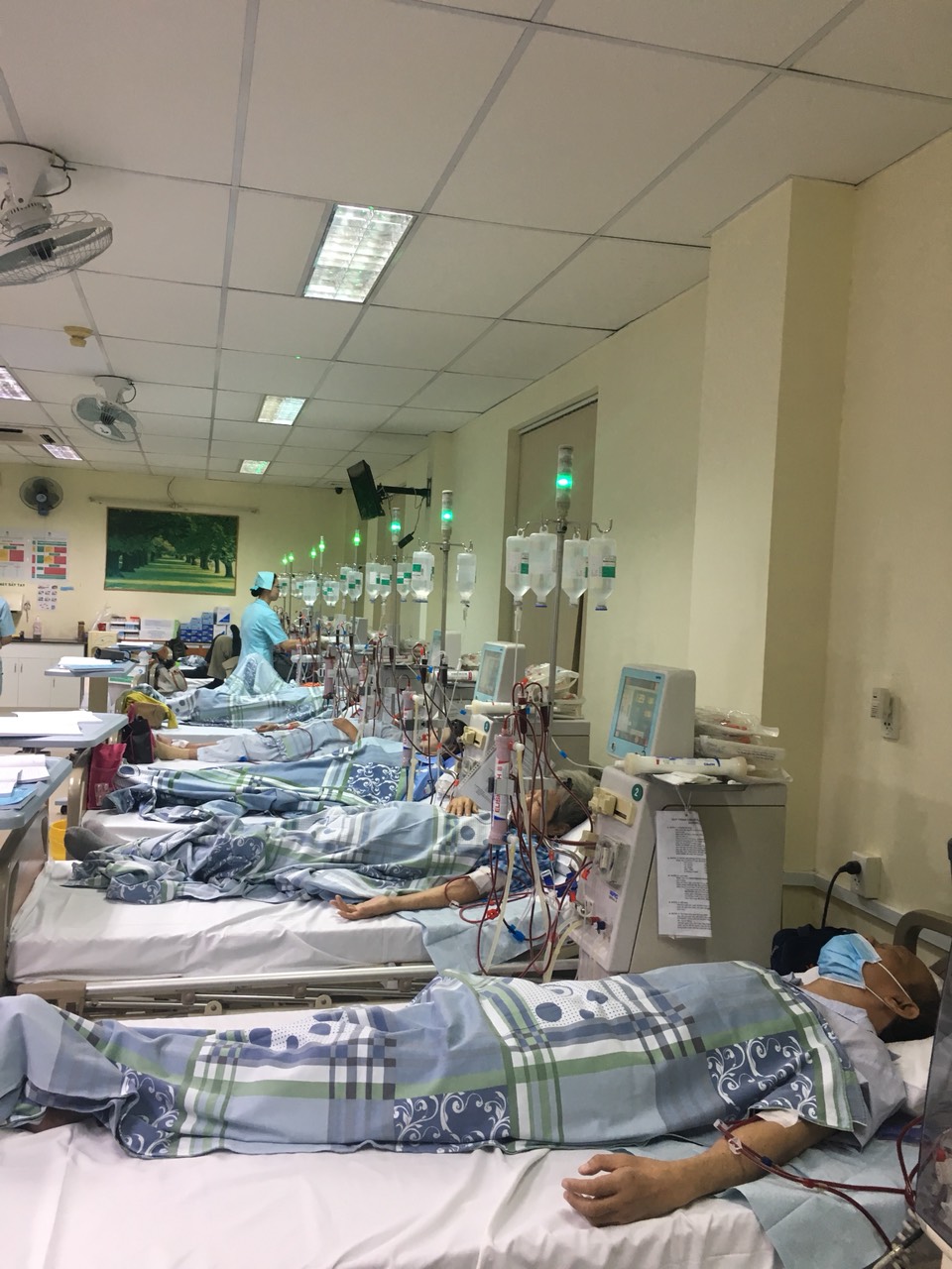Mùa xuân nào cho Nhung? Bất kể lễ Tết, các nhân viên y tế và bệnh nhân cũng phải chạy thận mỗi ngày