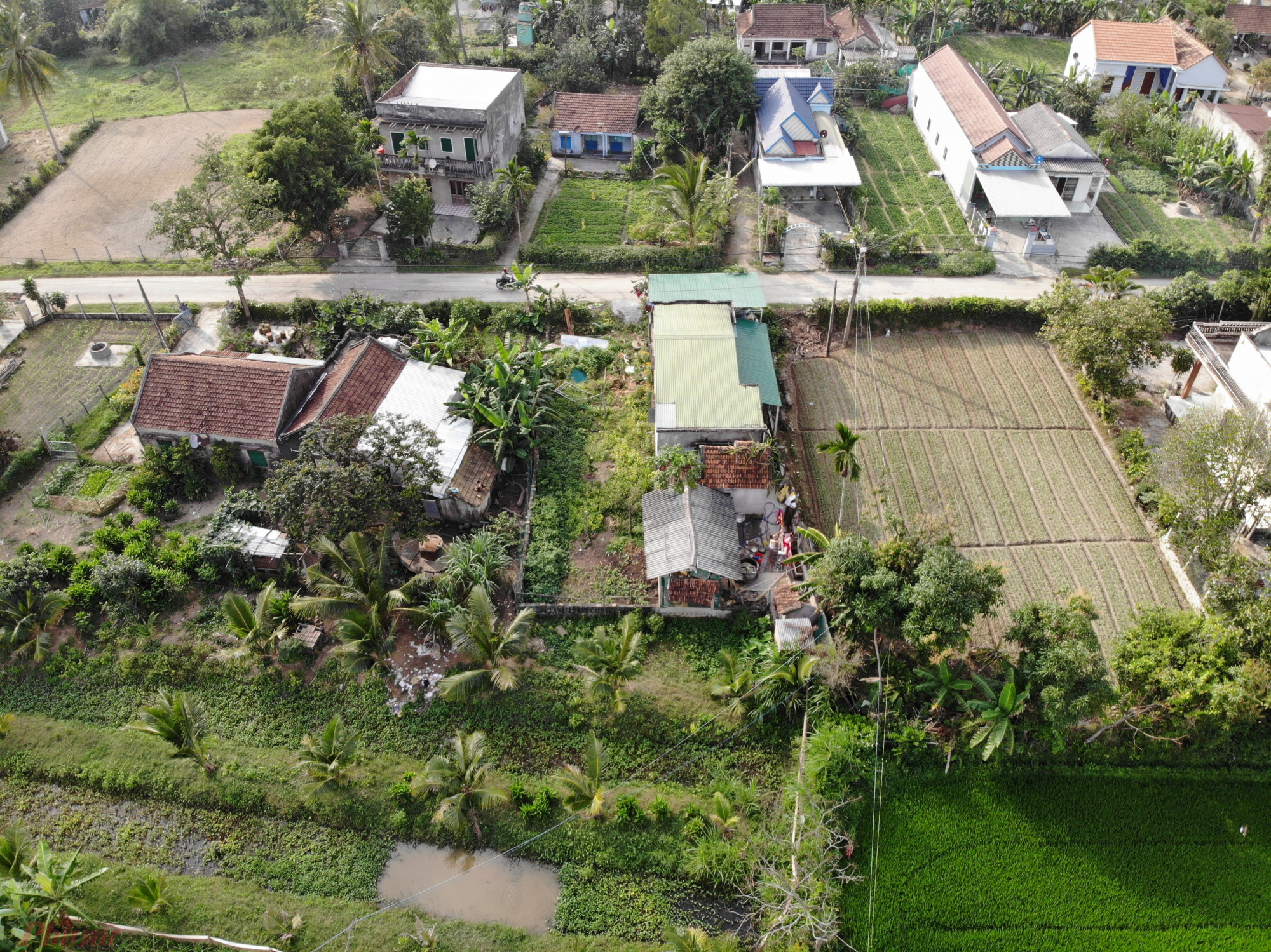 Tết đến muộn ở làng ly hương Nhiều căn nhà khang trang ở Phổ Cường vẫn cửa đóng, then cài chờ chủ về trong những ngày Tết.