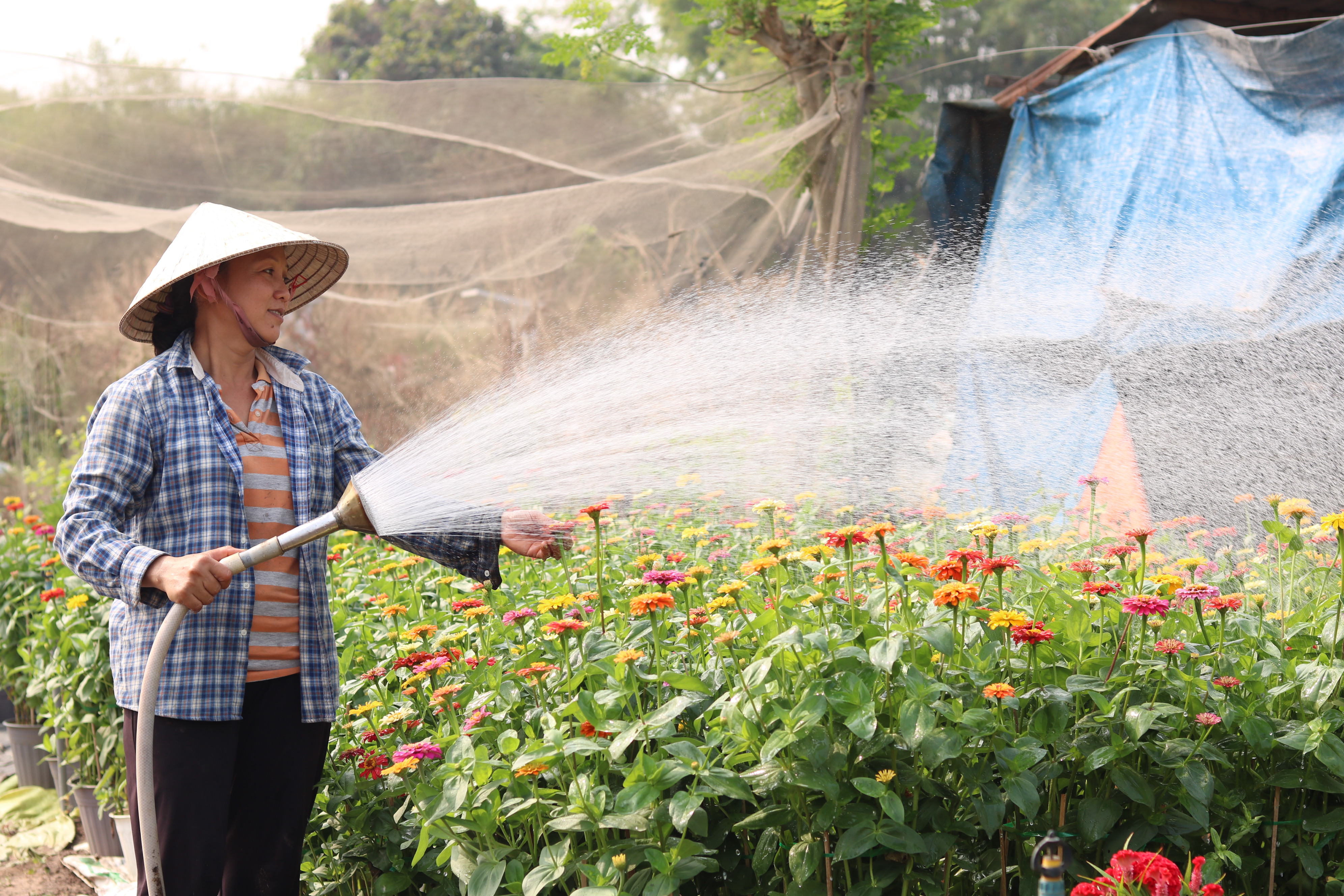 Người trồng hoa có tâm hồn đẹp như hoa Là một phụ nữ nông dân chân chất, lại rất có duyên nhặt được đồ vật bị đánh rơi.