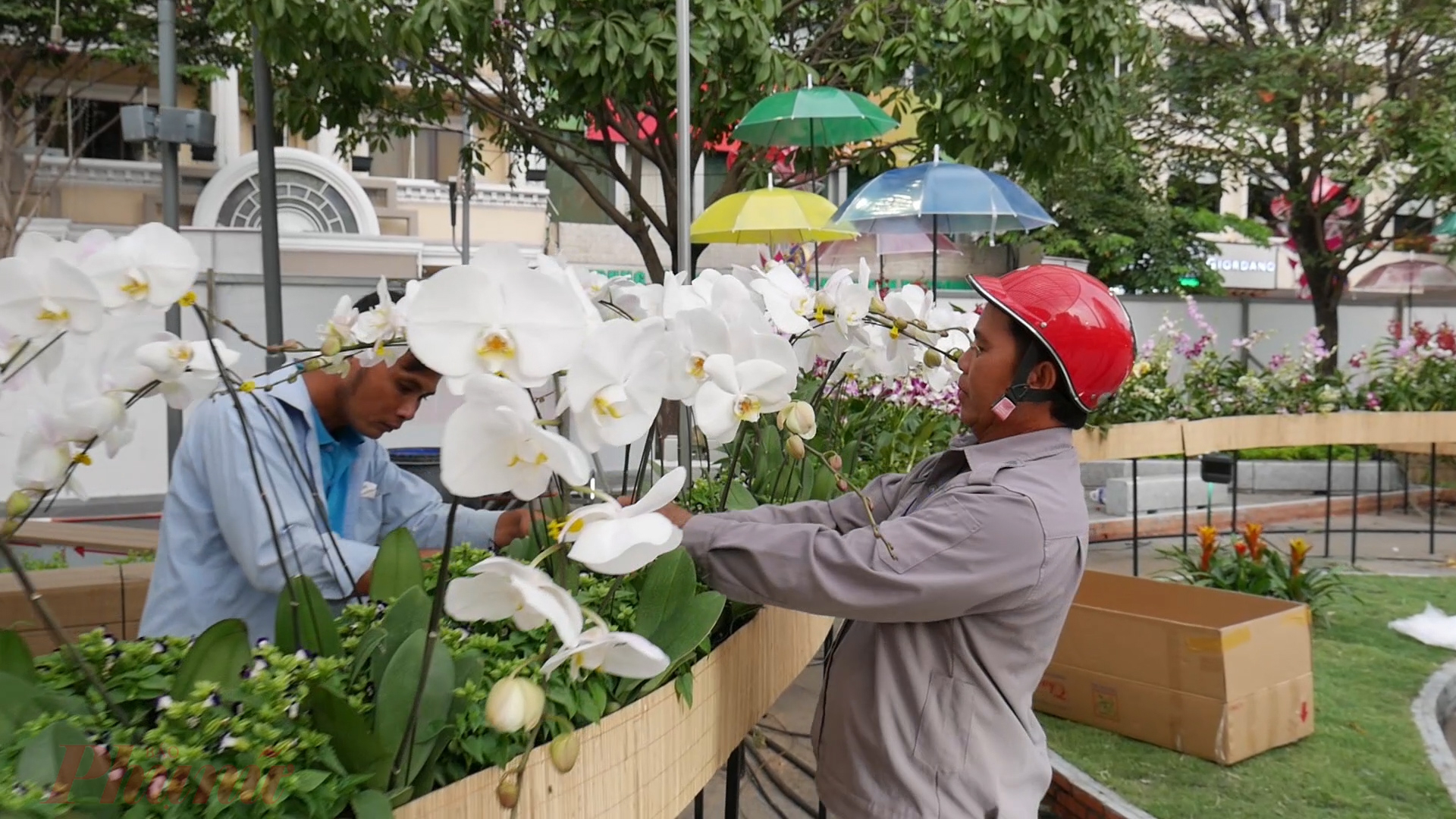 Đường hoa Nguyễn Huệ tết này có gì mới để 'check in'? Các nhân công đang tất bật làm việc để kịp tiến độ mở cửa đường hoa.