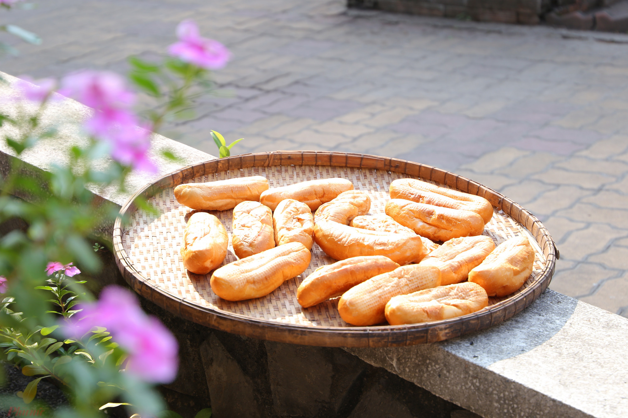 Viện dưỡng lão ngày cuối năm: Hỏi Xuân có về? Những chiếc bánh mì còn sót lại sau bữa ăn được đem phơi để dành cho một lần ăn khác
