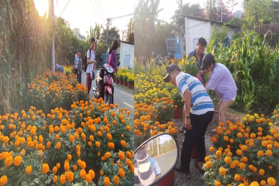 Những nốt trầm mưu sinh giáp tết Mọi người mua hoa ủng hộ anh Phương để anh về quê lo việc tang gia cho vợ. Ảnh từ Facebook