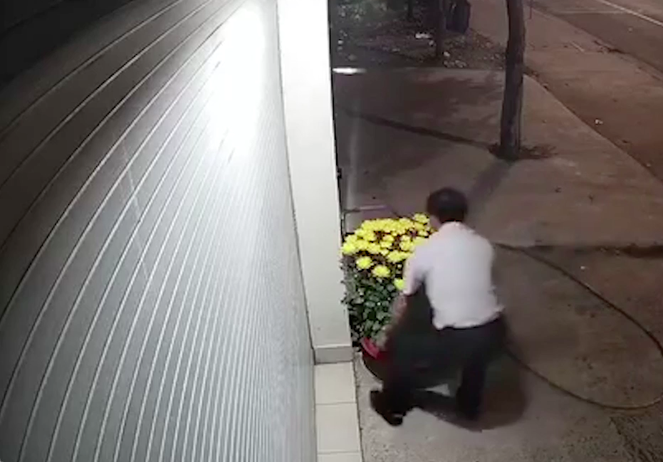 Đi ô tô sang trọng trộm hoa: Không nghèo tiền bạc, chỉ nghèo nhân cách Người đàn ông trộm 2 châu cúc của gia chủ tại Bình Dương vào rạng sáng 29 Tết.