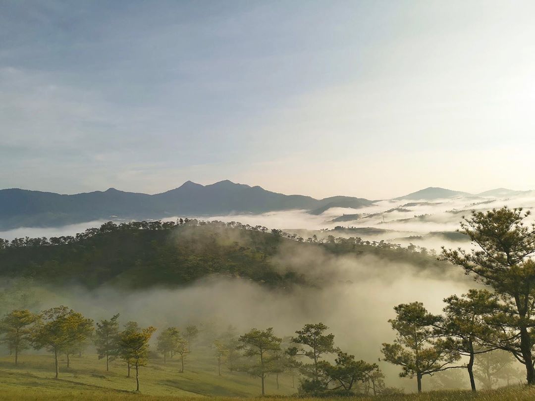 Trốn con, uống cà phê sáng đầu năm với chồng Vợ chồng còn ngày rộng tháng dài để thu xếp cho nhau. Ảnh minh họa
