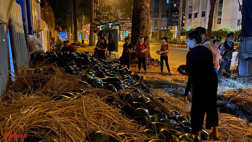 Trong dịch corona tìm thấy 'nụ cười dưa hấu đỏ' Dưa hấu ở Gia Lai được chuyển về TPHCM trong đêm để sáng hôm sau giải cứu.
