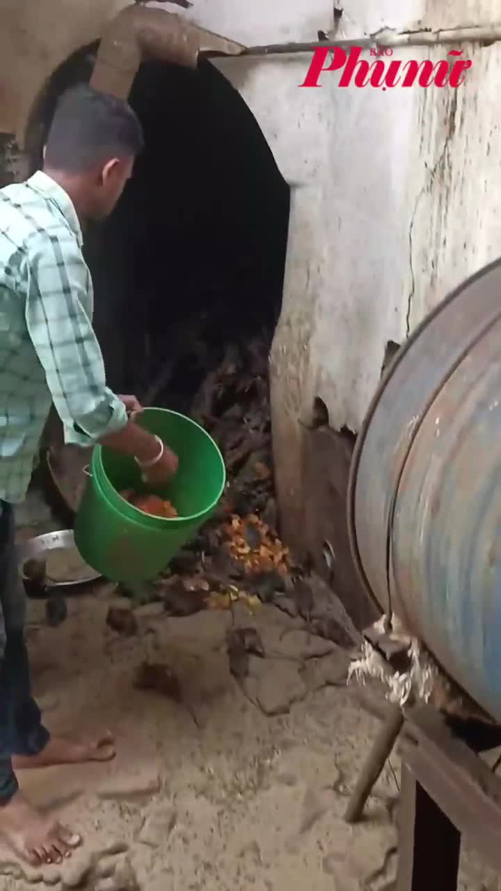 Ngôi đền thờ chuột ở Ấn Độ