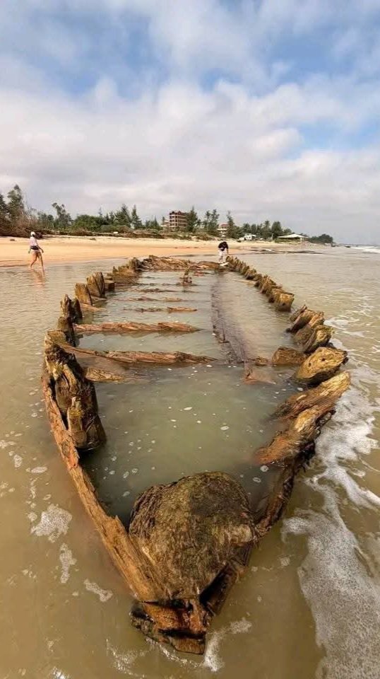 Cận cảnh tàu cổ trồi lên ở biển Hội An sau 2 năm biến mất