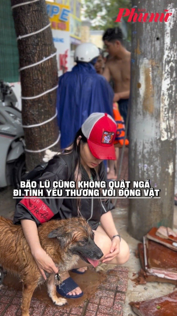 Những chú cún không bị bỏ rơi