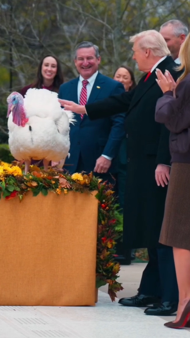 Tổng thống Donald Trump ân xá cho 2 con gà tây