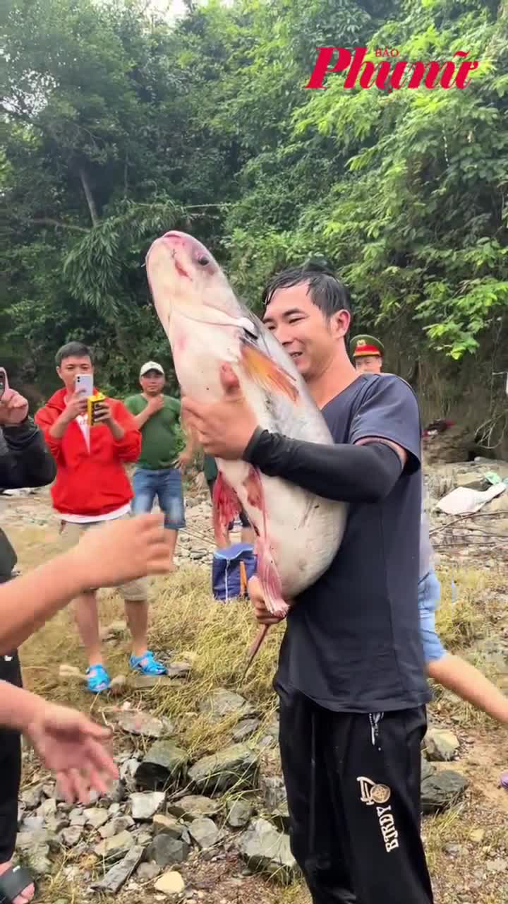 Đổ xô săn cá ‘khủng’ tại hồ Trị An