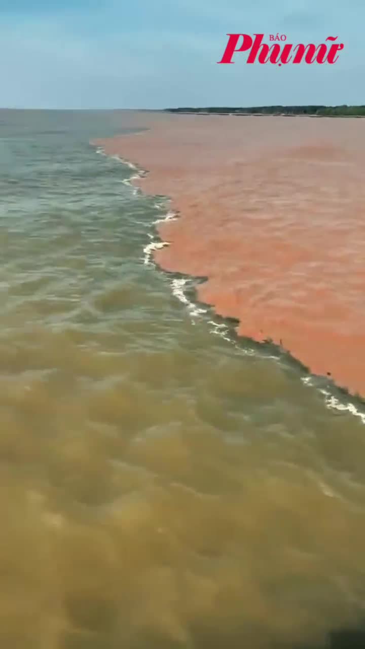 Nước biển hai màu kéo dài hàng chục km ở Cà Mau