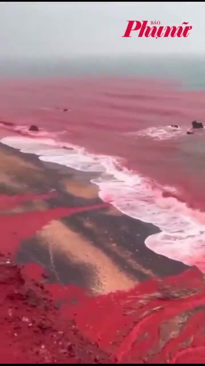Nước biển bị nhuộm đỏ khiến nhiều người bất ngờ