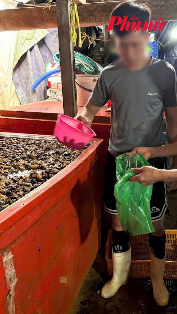 Triệt phá đường dây ngâm thịt ốc bằng hóa chất sản xuất xi - măng, quy mô đặc biệt lớn