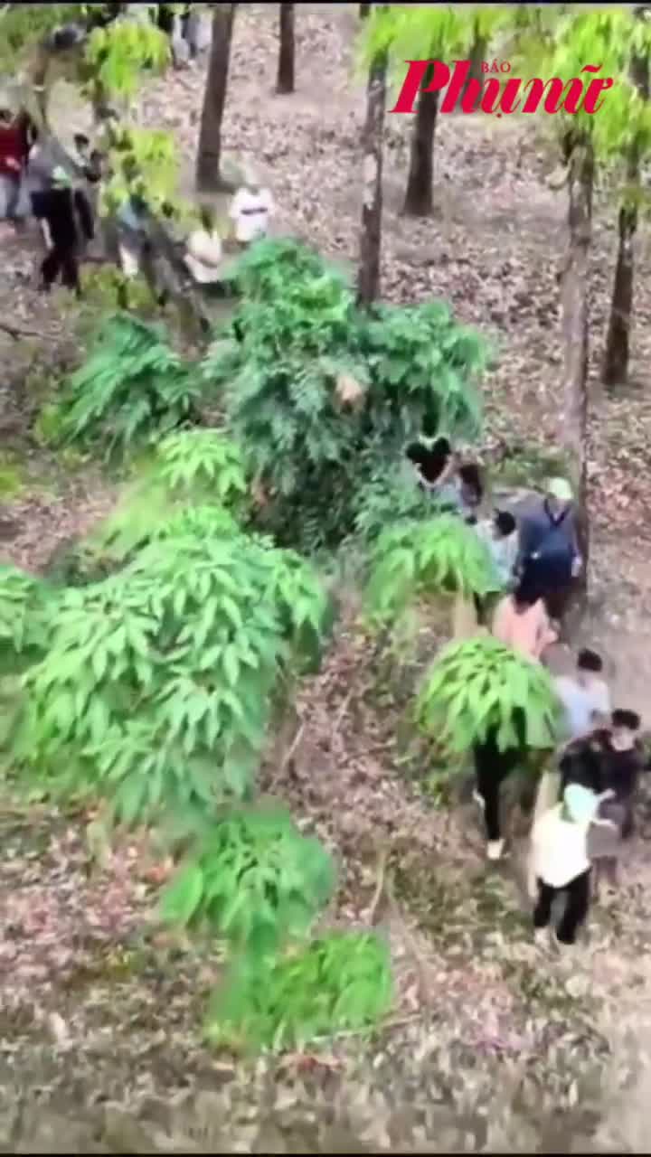 Công an TPHCM dùng flycam theo dõi, triệt phá tụ điểm đánh bạc