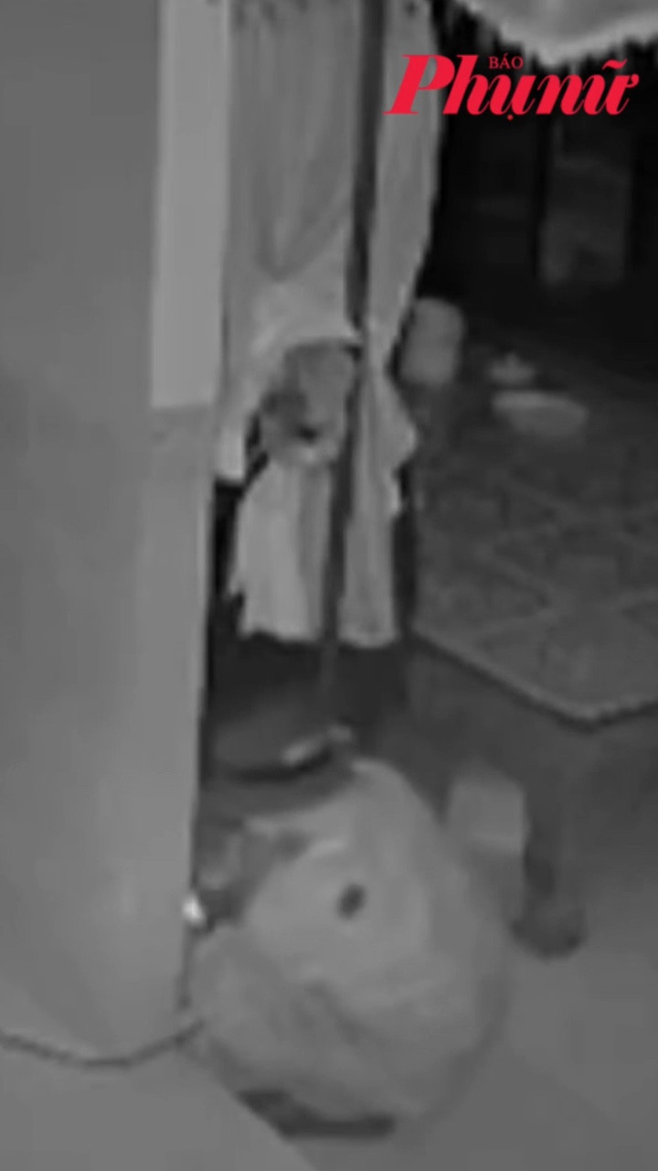 Công an điều tra vụ trộm tiền cưới ở xã Trần Văn Thời, Cà Mau