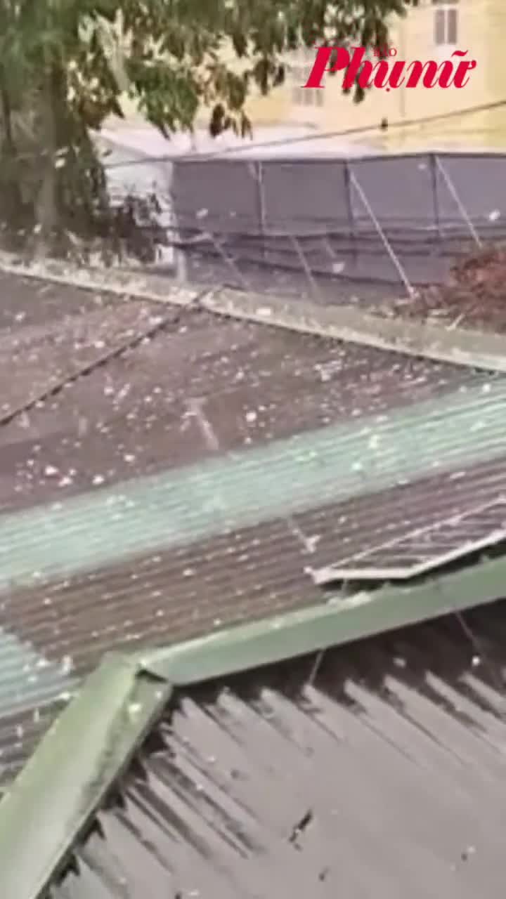 Mưa đá rơi dày ở Tuyên Quang, Lào Cai