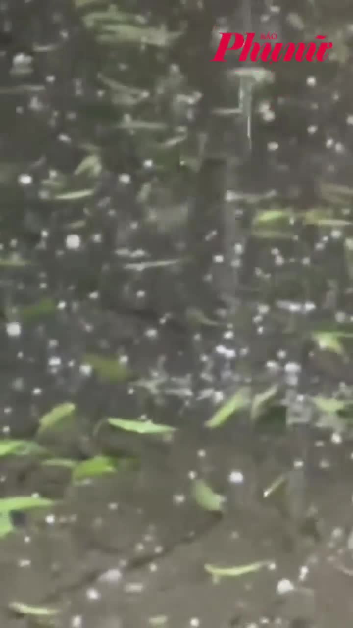 Mưa đá ở Hà Nội lúc rạng sáng