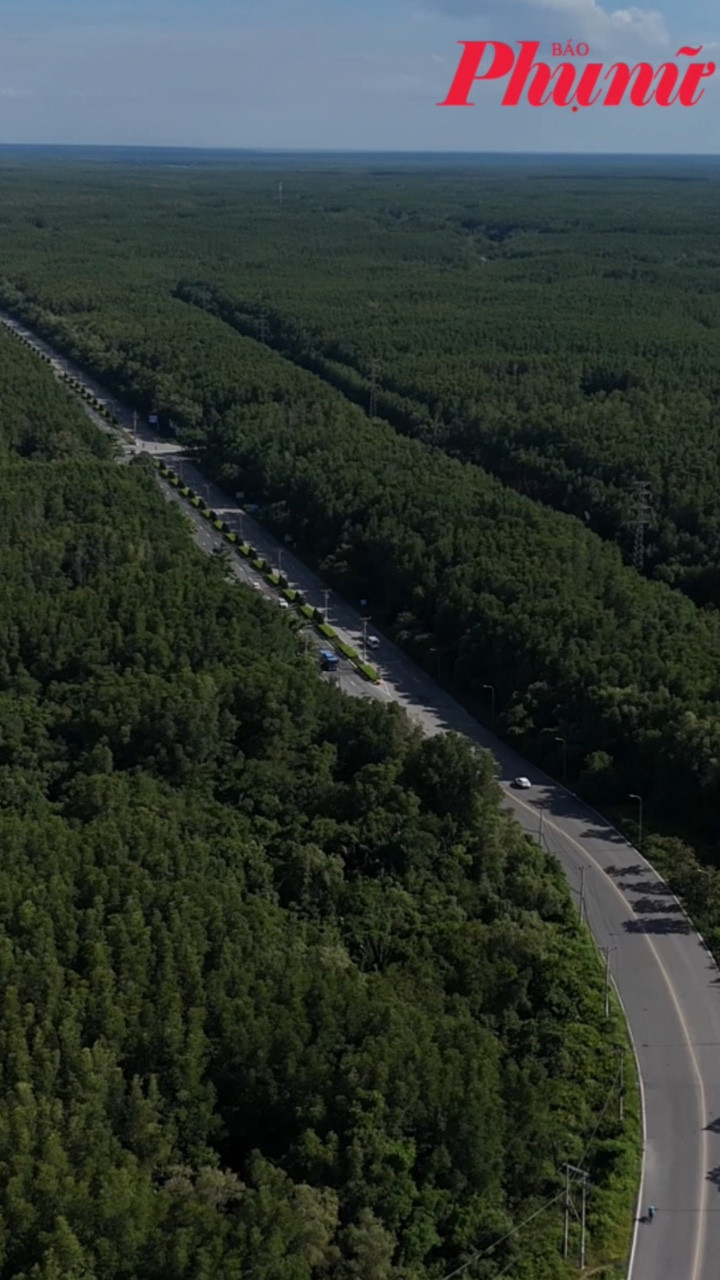 Ngắm đường Rừng Sác xuyên rừng ở Cần Giờ, đang được Vingroup đề xuất mở rộng lên 10 làn xe