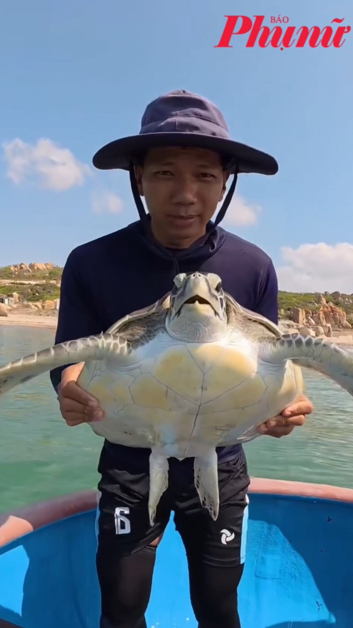 Lâm Đồng: Ngư dân thả rùa biển quý hiếm mắc lưới trở lại biển