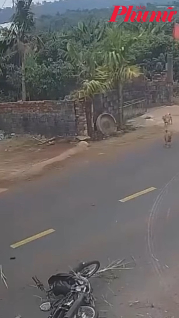 Đình chỉ thiếu tá CSGT để điều tra vụ tai nạn khiến nam sinh lớp 12 tử vong