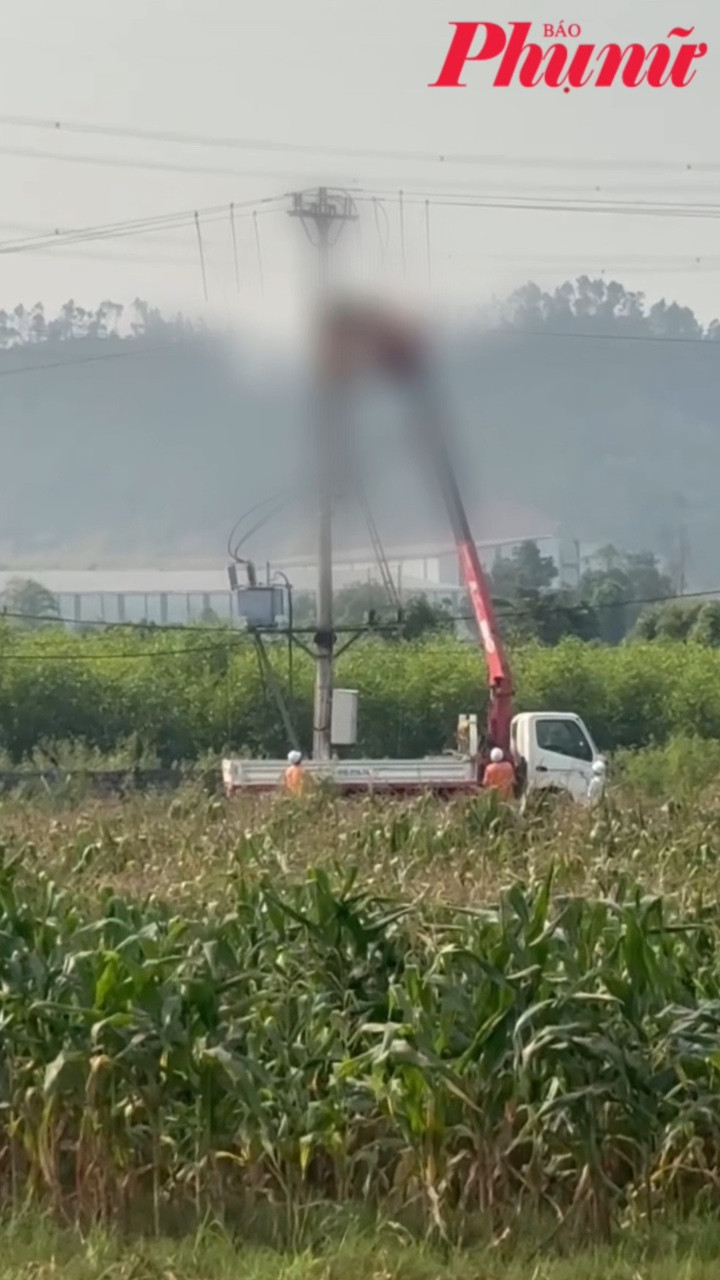 Nghệ An: Học sinh lớp 8 gặp nạn trên cột điện, không qua khỏi