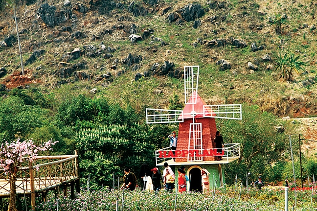 Happy Land Mộc Châu - một lần check in Happy Land Moc Chau - mot lan check in