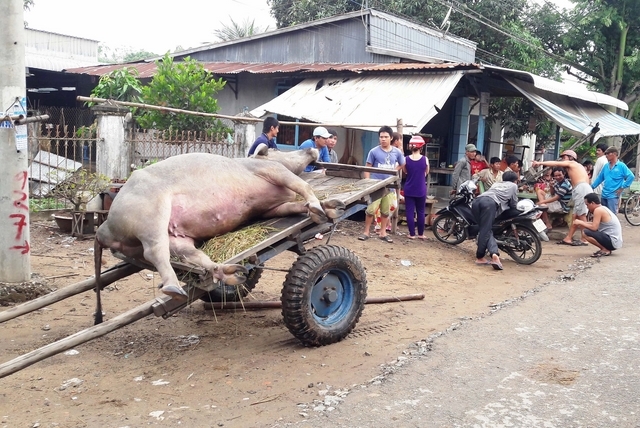 Vừa chuyển mùa mưa, nhiều người tử vong do sét đánh Vua chuyen mua mua, nhieu nguoi tu vong do set danh
