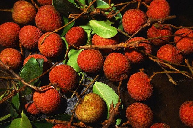 Làm sao chọn được trái vải đúng hàng ngon, chuẩn? Lam sao chon duoc trai vai dung hang ngon, chuan?