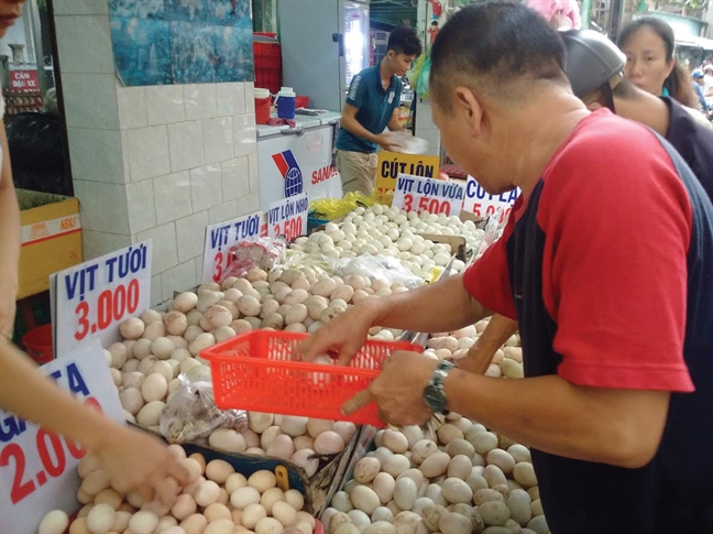 Trứng gà khủng hoảng chẳng thua gì thịt heo Trung ga khung hoang chang thua gi thit heo