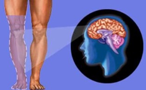 Đã dùng chân giả vẫn bị chân ma... 'hiện về' hành đau nhức Da dung chan gia van bi chan ma... 'hien ve' hanh dau nhuc