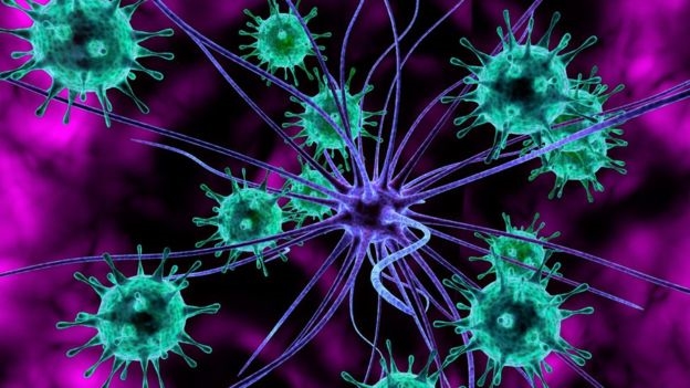 Dùng virus Zika điều trị ung thư não Dung virus Zika dieu tri ung thu nao