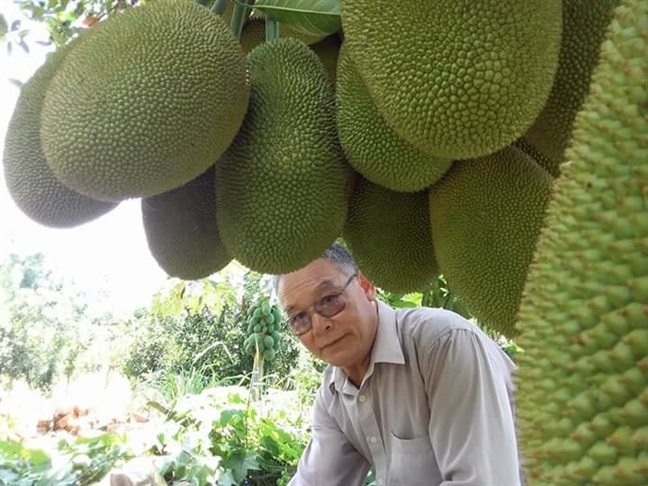 Sân chơi đẹp của những người thích trồng cây San choi dep cua nhung nguoi thich trong cay