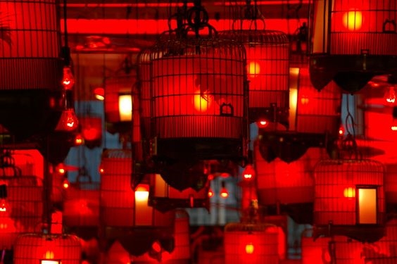 Tết Trung thu ở Hồng Kông: Đậm truyền thống mà vẫn tưng bừng hiện đại Tet Trung thu o Hong Kong: Dam truyen thong ma van tung bung hien dai