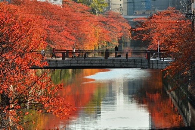 8 địa điểm ngắm 'mùa thu vàng, mùa thu đỏ' đẹp nhất Tokyo 8 dia diem ngam 'mua thu vang, mua thu do' dep nhat Tokyo