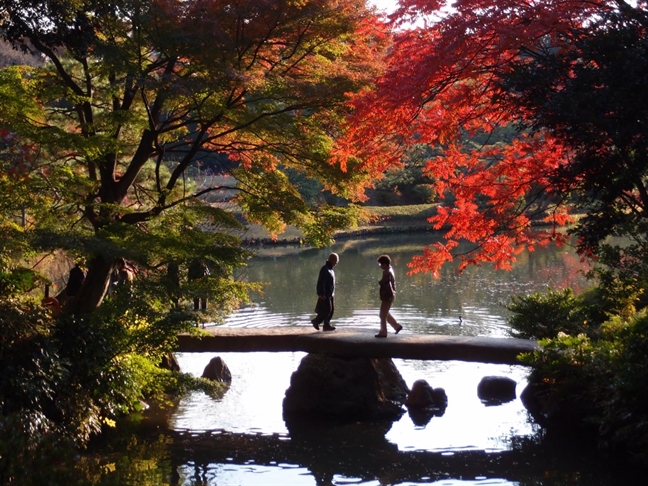8 địa điểm ngắm 'mùa thu vàng, mùa thu đỏ' đẹp nhất Tokyo 8 dia diem ngam 'mua thu vang, mua thu do' dep nhat Tokyo
