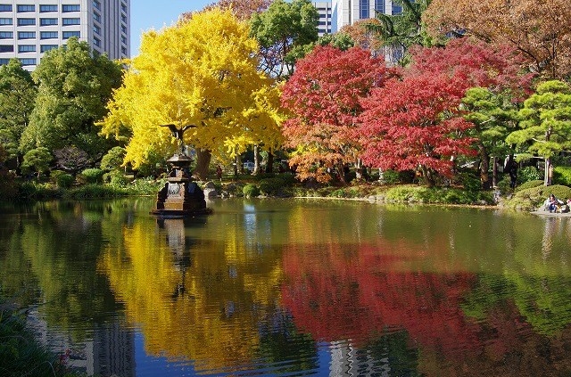 8 địa điểm ngắm 'mùa thu vàng, mùa thu đỏ' đẹp nhất Tokyo 8 dia diem ngam 'mua thu vang, mua thu do' dep nhat Tokyo