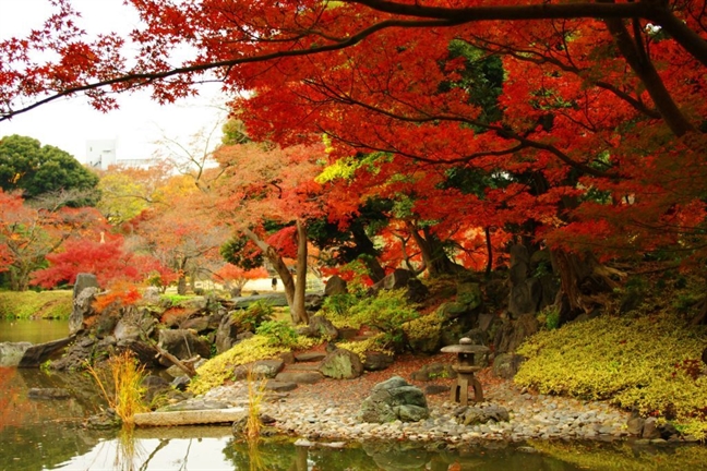 8 địa điểm ngắm 'mùa thu vàng, mùa thu đỏ' đẹp nhất Tokyo 8 dia diem ngam 'mua thu vang, mua thu do' dep nhat Tokyo