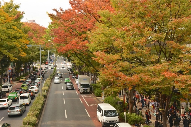 8 địa điểm ngắm 'mùa thu vàng, mùa thu đỏ' đẹp nhất Tokyo 8 dia diem ngam 'mua thu vang, mua thu do' dep nhat Tokyo