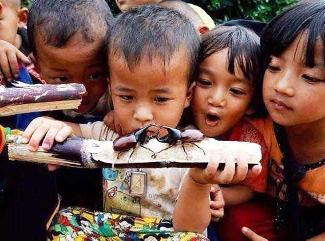 Cho trẻ chơi 'bạo lực', tại sao không? Cho tre choi 'bao luc', tai sao khong?