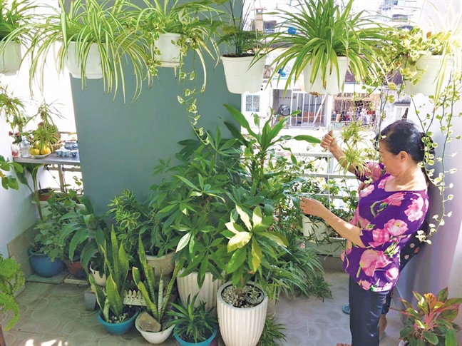 Mỗi nhà là một mảng xanh Moi nha la mot mang xanh